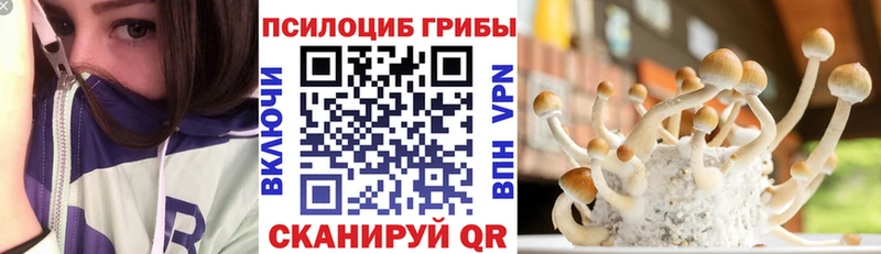 Псилоцибиновые грибы GOLDEN TEACHER  Калтан 
